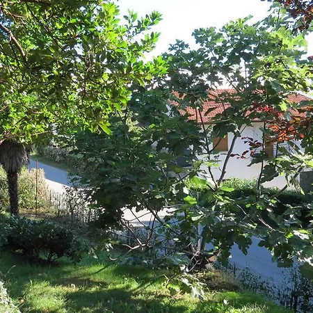 Le Terrazze Del Lago Maggiore
